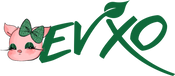EVXO Cosmetics